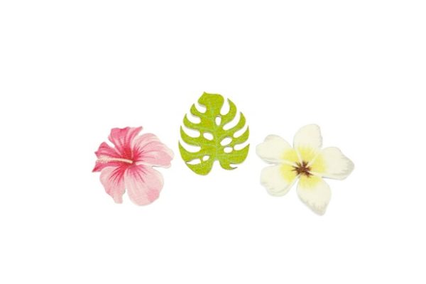 Déco bois tropicale