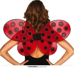Ailes coccinelles