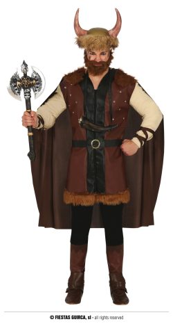 Déguisement viking