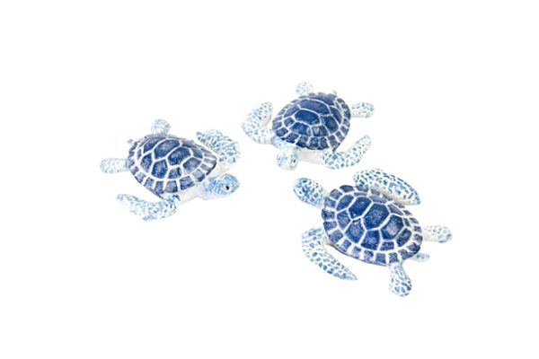 Tortues résine