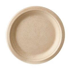 Assiette en canne à sucre