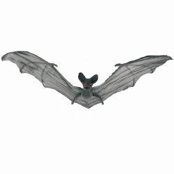 Chauve souris grise