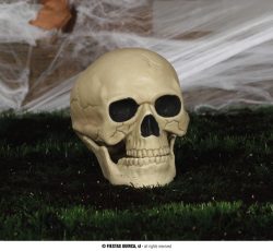 Tête de mort