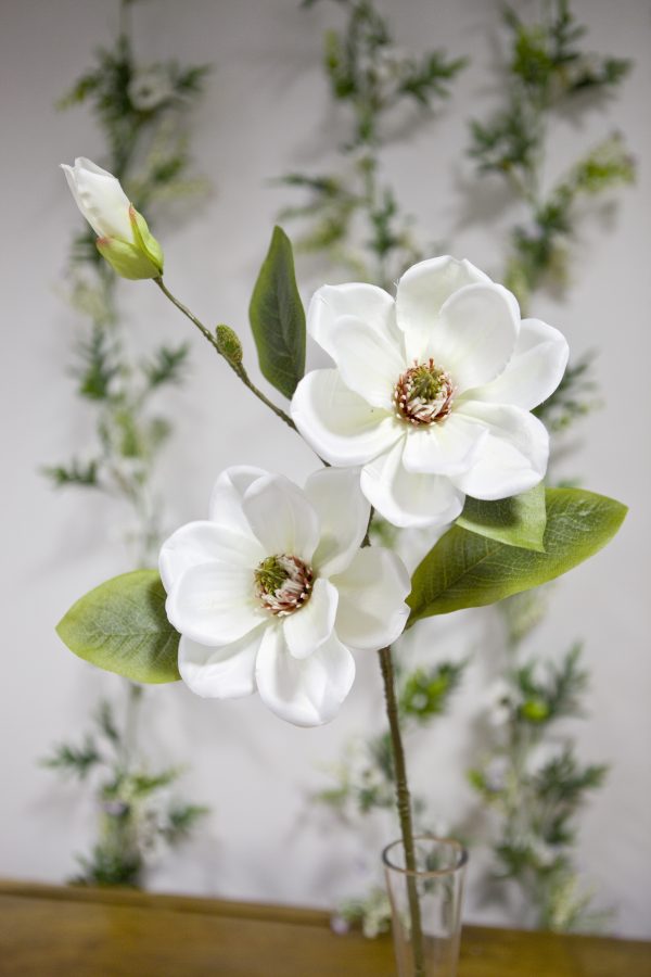 Tige fleurs magnolia – Image 2