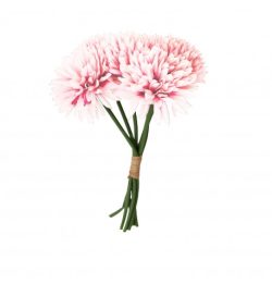 Bouquet dahlias