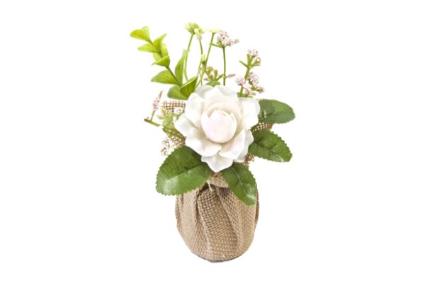 Rose fleurette blanche