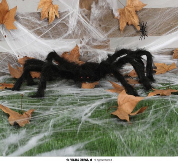 Araignée 70cm