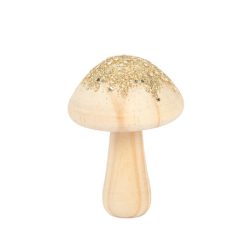 Champignon étoile
