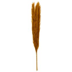 Tige pampa 110cm