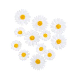Marguerites jaunes blanches