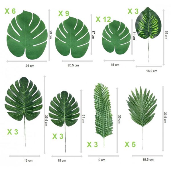 Feuilles tropicales – Image 3