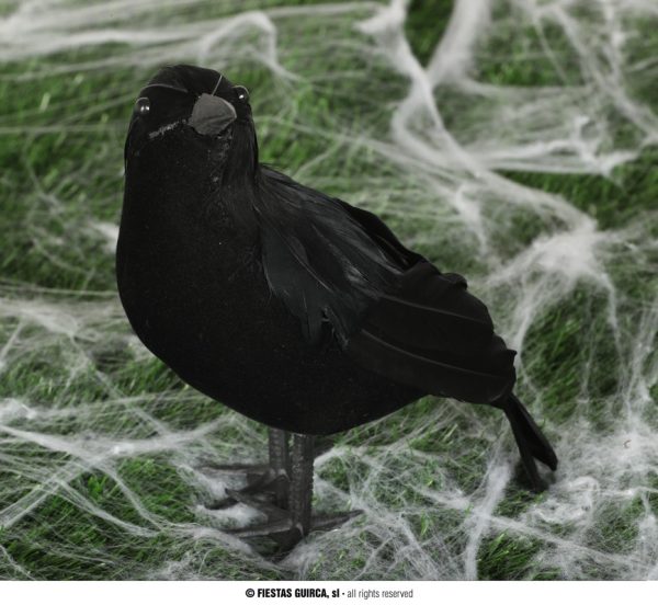 Corbeau 25cm