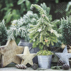 Serviettes sweet fir tree