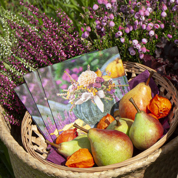Serviettes pumpkin – Image 2