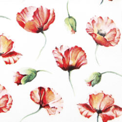 Serviettes poppy drawing