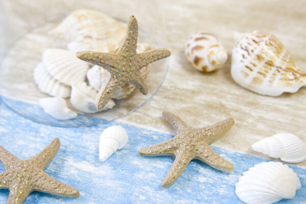 Etoiles de mer résine – Image 2