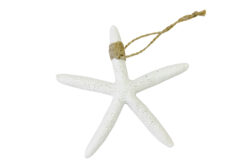 Etoile de mer blanche