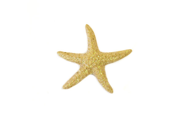 Etoiles de mer résine